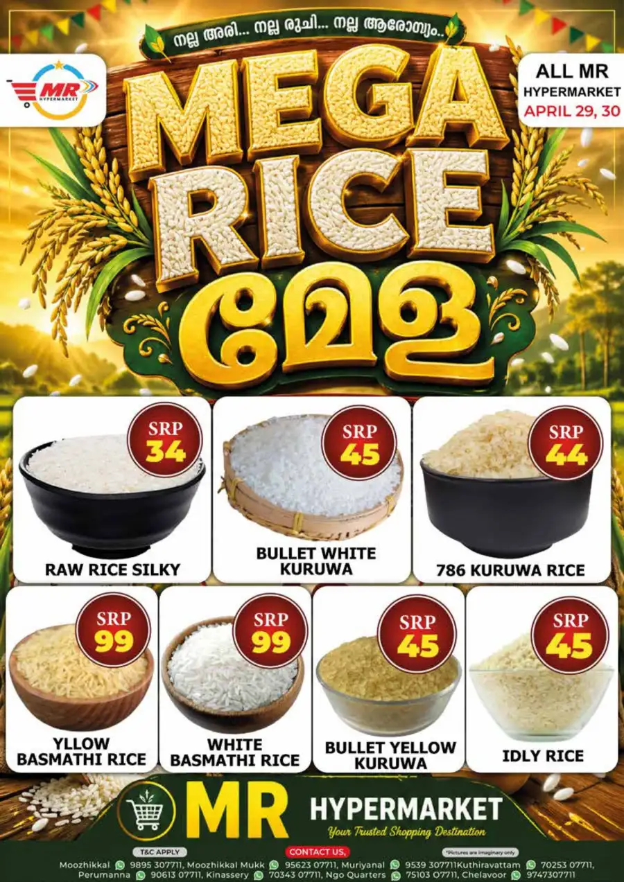 Mega rice mela page 1